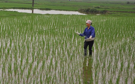 Kinh nghiệm khởi nghiệp gắn với bảo vệ môi trường và chống biến đổi khí hậu (23/3/2016)
 